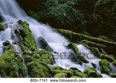 Clearwater Falls, Oregon, USA View Large Photo Image Stock Image - Clearwater Falls, Oregon, USA. Fotosearch