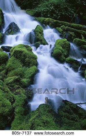Stock Photo - Clearwater Falls, Oregon, USA. Fotosearch