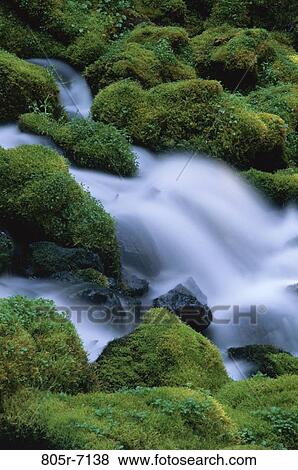 Clearwater Falls, Oregon, USA View Large Photo Image Stock Photo - Clearwater Falls, Oregon, USA. Fotosearch