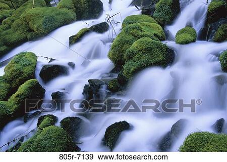 Clearwater Falls, Oregon, USA View Large Photo Image Stock Photo - Clearwater Falls, Oregon, USA. Fotosearch