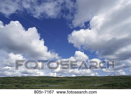 Stock Photo - Denali National Park, Alaska, USA. Fotosearch
