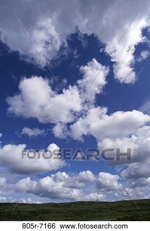 Stock Photograph - Denali National Park, Alaska, USA. Fotosearch