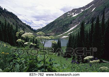 Emerald Lake, Gunnison National Forest, Colorado, USA View Large Photo Image Stock Image - Emerald Lake, Gunnison National Forest, Colorado, USA. Fotosearch
