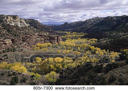 Escalante River, Grand Staircase-Escalante National Monument, Utah, USA View Large Photo Image Stock Image - Escalante River, Grand Staircase-Escalante National Monument, Utah, USA. Fotosearch