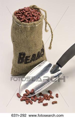 farming, industry, beans, dried, agriculture, still life View Large Photo Image Stock Image - farming, industry, beans, dried, agriculture, still life. Fotosearch