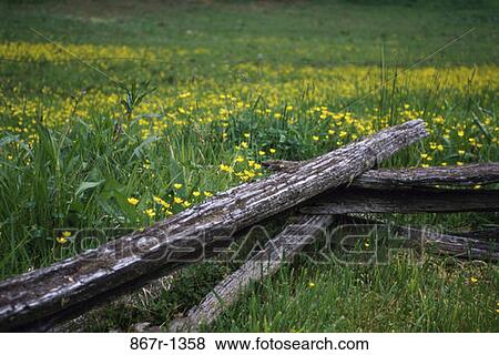Field, fence, rural, flowers, rails, wooden, blocking View Large Photo Image Stock Photo - Field, fence, rural, flowers, rails, wooden, blocking. Fotosearch