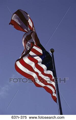 Flag of the United States of America View Large Photo Image Stock Photography - Flag of the United States of America. Fotosearch