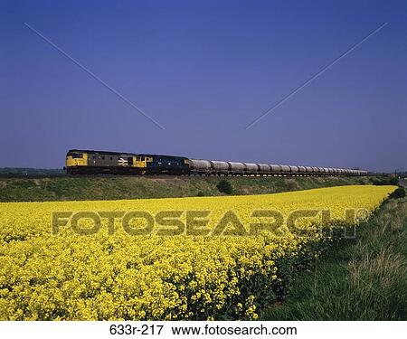 Freight Train, Scotland View Large Photo Image Stock Photo - Freight Train, Scotland. Fotosearch