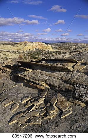 Grand Staircase-Escalante National Monument, Utah, USA View Large Photo Image Stock Photograph - Grand Staircase-Escalante National Monument, Utah, USA. Fotosearch