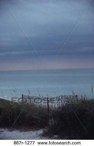 grass, fence, sea, ocean, dusk, beach, coast View Large Photo Image Stock Photo - grass, fence, sea, ocean, dusk, beach, coast. Fotosearch