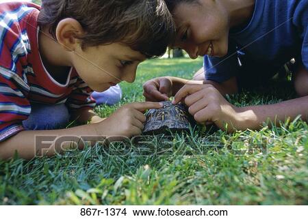 Picture - grass, multiethnic, people, turtle, pet, curious. Fotosearch