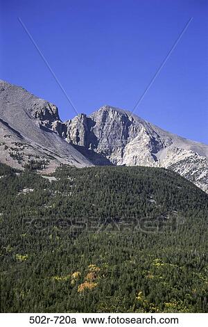 Great Basin National Park, Nevada, USA View Large Photo Image Stock Image - Great Basin National Park, Nevada, USA. Fotosearch