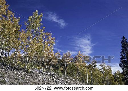 Great Basin National Park, Nevada, USA View Large Photo Image Stock Image - Great Basin National Park, Nevada, USA. Fotosearch