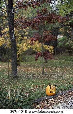 Halloween, face, forest, nature, trees, decoration, autumn View Large Photo Image Stock Photo - Halloween, face, forest, nature, trees, decoration, autumn. Fotosearch