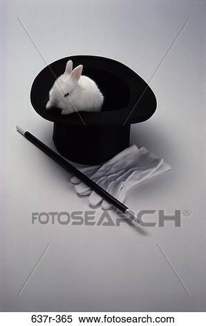 Stock Photography - hat, entertainment, gloves, rabbit, still life, animal. Fotosearch