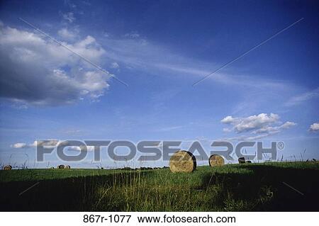 Hay Bales View Large Photo Image Stock Photo - Hay Bales. Fotosearch