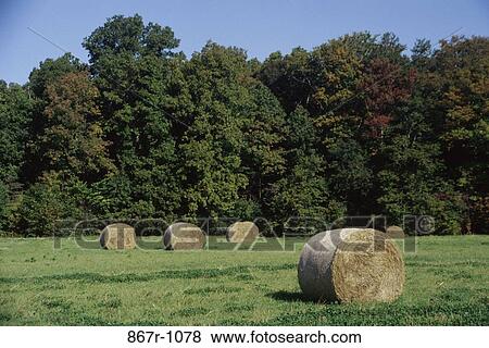 Hay Bales View Large Photo Image Stock Photo - Hay Bales. Fotosearch