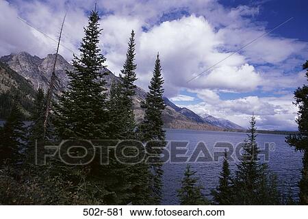 Stock Image - Jenny Lake, Grand Teton National Park, Wyoming, USA. Fotosearch