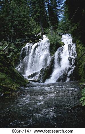 National Creek Falls, Oregon, USA View Large Photo Image Stock Photo - National Creek Falls, Oregon, USA. Fotosearch