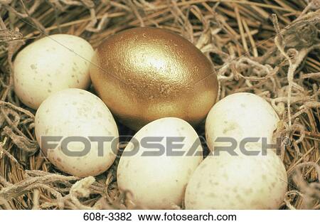 Stock Image - nest, gold, industry, egg, golden, individuality. Fotosearch