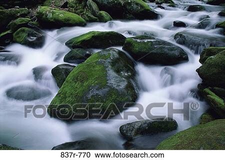 North Carolina, USA View Large Photo Image Stock Image - North Carolina, USA. Fotosearch