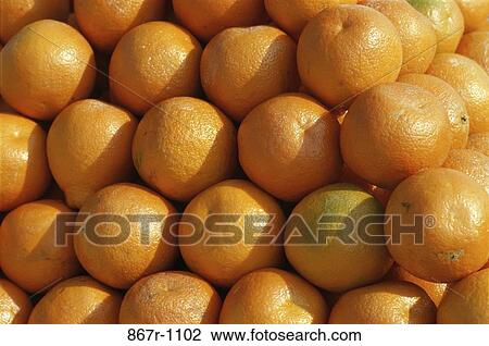 Oranges View Large Photo Image Stock Image - Oranges. Fotosearch