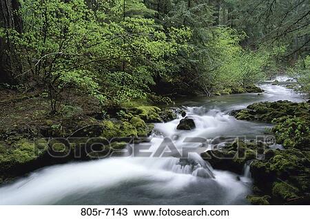 Oregon, USA View Large Photo Image Stock Image - Oregon, USA. Fotosearch