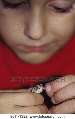 Stock Image - people, frog, pet, holding, boy, child, animal. Fotosearch