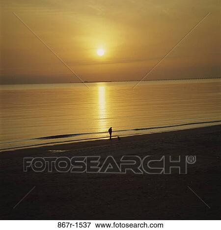 people, walking, sunset, pet, beach, silhouette, tranquility View Large Photo Image Stock Photo - people, walking, sunset, pet, beach, silhouette, tranquility. Fotosearch