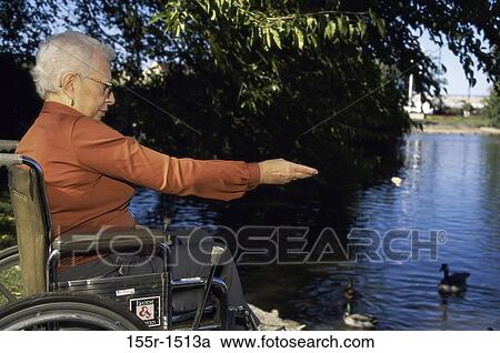 people, woman, senior, wheelchair, outdoors, pond View Large Photo Image Stock Image - people, woman, senior, wheelchair, outdoors, pond. Fotosearch