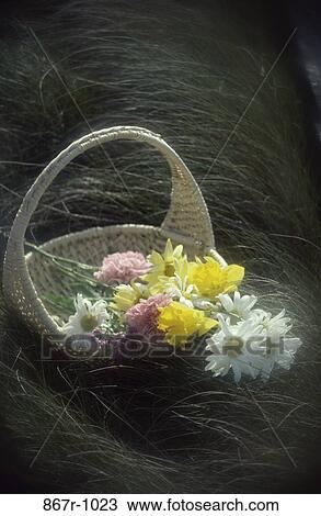 plants, flowers, basket, nature, arrangement, bouquet, Floral arrangements View Large Photo Image Stock Image - plants, flowers, basket, nature, arrangement, bouquet, Floral arrangements. Fotosearch