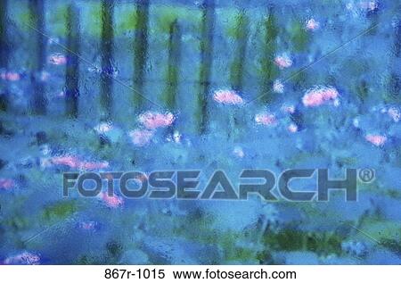 plants, flowers, nature, garden, tranquility, Flowers various View Large Photo Image Stock Photography - plants, flowers, nature, garden, tranquility, Flowers various. Fotosearch