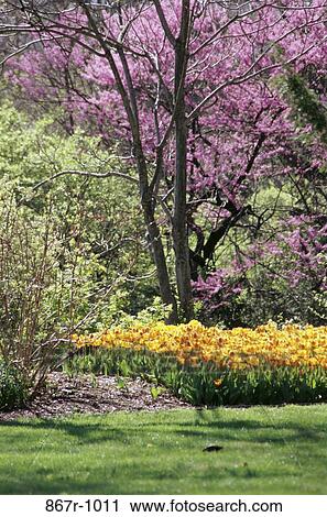 plants, flowers, trees, nature, garden, colored, Manicured gardens View Large Photo Image Stock Image - plants, flowers, trees, nature, garden, colored, Manicured gardens. Fotosearch