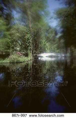 reflection, stream, bridge, trees, tranquility, pond, secluded View Large Photo Image Stock Photo - reflection, stream, bridge, trees, tranquility, pond, secluded. Fotosearch