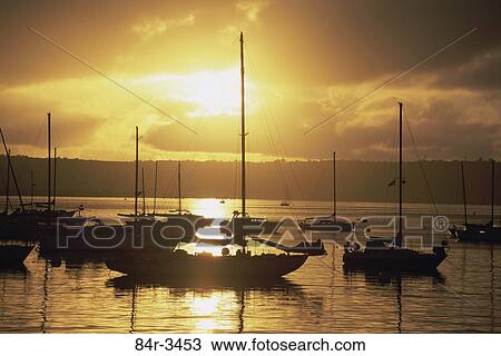 San Diego, California, USA View Large Photo Image Stock Image - San Diego, California, USA. Fotosearch