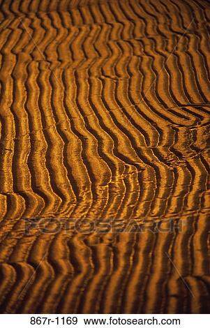 sand, ripples, desert, pattern, background, repetition, Backgrounds textures View Large Photo Image Stock Photo - sand, ripples, desert, pattern, background, repetition, Backgrounds textures. Fotosearch