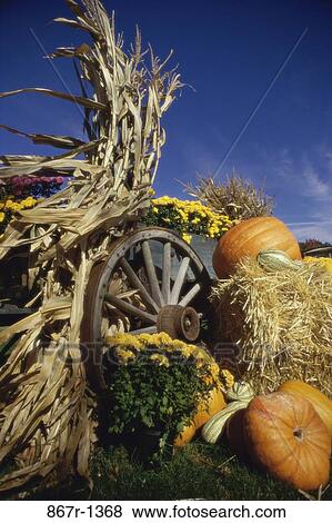 season, hay, pumpkins, nature, flowers, autumn View Large Photo Image Stock Photo - season, hay, pumpkins, nature, flowers, autumn. Fotosearch