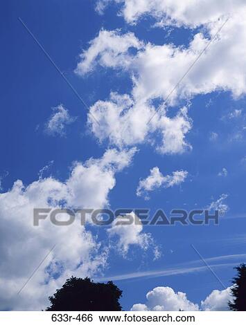 sky, clouds, blue, nature, treetops, straightforward View Large Photo Image Stock Photograph - sky, clouds, blue, nature, treetops, straightforward. Fotosearch