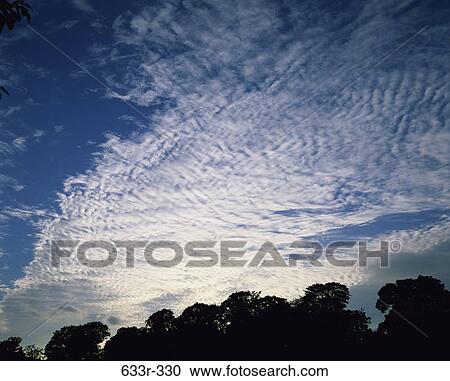 Stock Image - sky, clouds, silhouette, trees, nature, scenic. Fotosearch