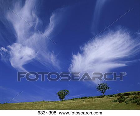 sky, clouds, wispy, trees, nature View Large Photo Image Stock Photo - sky, clouds, wispy, trees, nature. Fotosearch