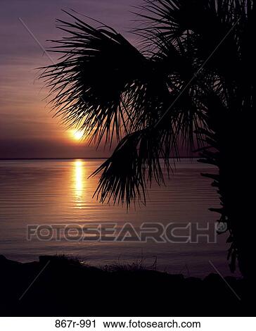 Stock Image - sky, reflection, water, sun, sunset, beach, trees. Fotosearch