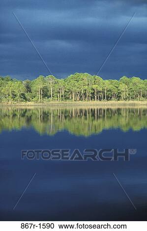 sky, water, jungle, cloudy, overcast, lake, trees View Large Photo Image Stock Image - sky, water, jungle, cloudy, overcast, lake, trees. Fotosearch