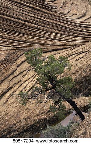 Picture - Snow Canyon State Park, Utah, USA. Fotosearch