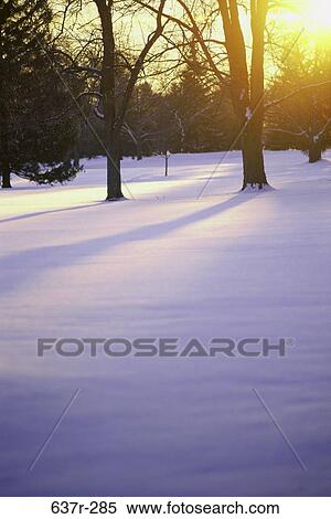 snow, sun, winter, trees, nature, season, Winter season View Large Photo Image Stock Photography - snow, sun, winter, trees, nature, season, Winter season. Fotosearch