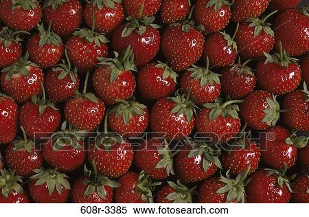 Strawberries View Large Photo Image Stock Photography - Strawberries. Fotosearch
