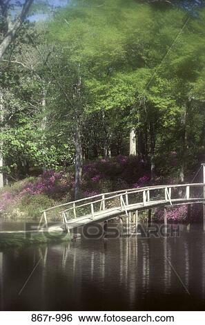 stream, flowers, walkway, bridge, trees, path, garden View Large Photo Image Stock Photograph - stream, flowers, walkway, bridge, trees, path, garden. Fotosearch