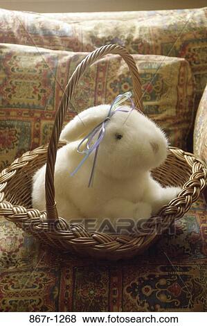 stuffed animal, basket, Easter, rabbit, still life, toy, bunny View Large Photo Image Stock Photo - stuffed animal, basket, Easter, rabbit, still life, toy, bunny. Fotosearch