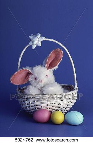 stuffed animal, basket, tradition, Easter, toy, bow, animal View Large Photo Image Stock Image - stuffed animal, basket, tradition, Easter, toy, bow, animal. Fotosearch