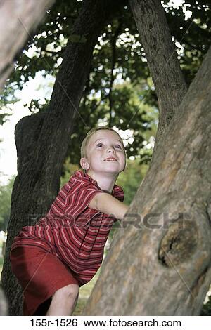 Stock Photograph - tree, people, playing, climbing, boy, outdoors, adventurous. Fotosearch