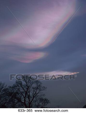 tree, sky, silhouette, nature, rainbow, Rainbows nature View Large Photo Image Stock Photography - tree, sky, silhouette, nature, rainbow, Rainbows nature. Fotosearch
